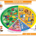 Supplements for a Balanced Diet: An Essential Overview