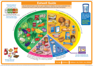 Supplements for a Balanced Diet: An Essential Overview