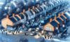 House Clearance Costs: Your Essential Negotiation Guide in the UK