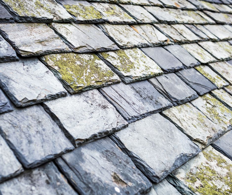 Slate Roof Repair: Key Indicators Needing Urgent Care
