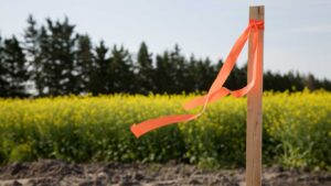 Subdivision Surveys in Clyde North: Your Essential Guide