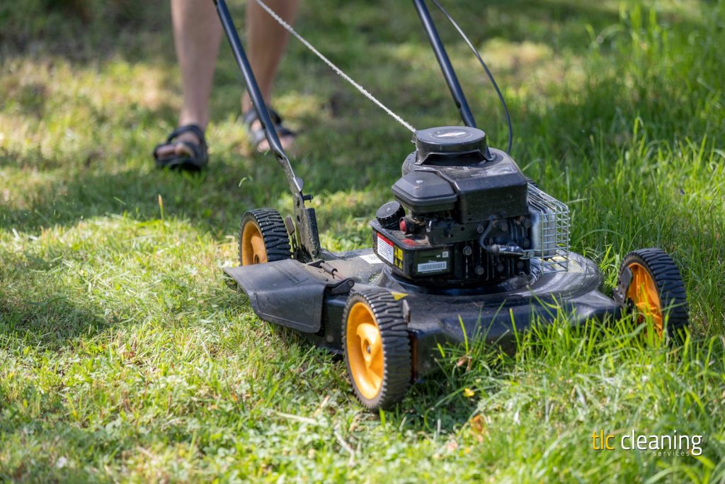 Grass Cutting Services: Options and Tips in Montacute