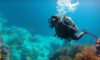 Diving Guide to the Big Blue Hole: Essential Tips for Adventurers