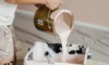 Budget Tips for Successful Exterior Paint Jobs in Sydney’s Humidity