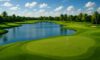 Golf Resorts in Florida: Explore Top-Rated Choices