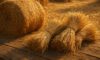 Hay and Straw: Exciting Culinary Recipes to Try