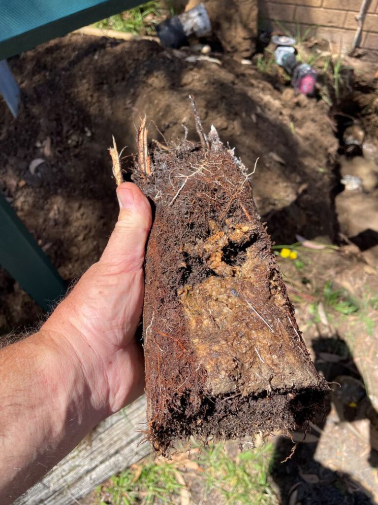 Clay Soil Threatens Caboolture Pipes: Key Insights Unveiled