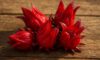 Hibiscus Flowers: Tips and Techniques for Creative Cooking